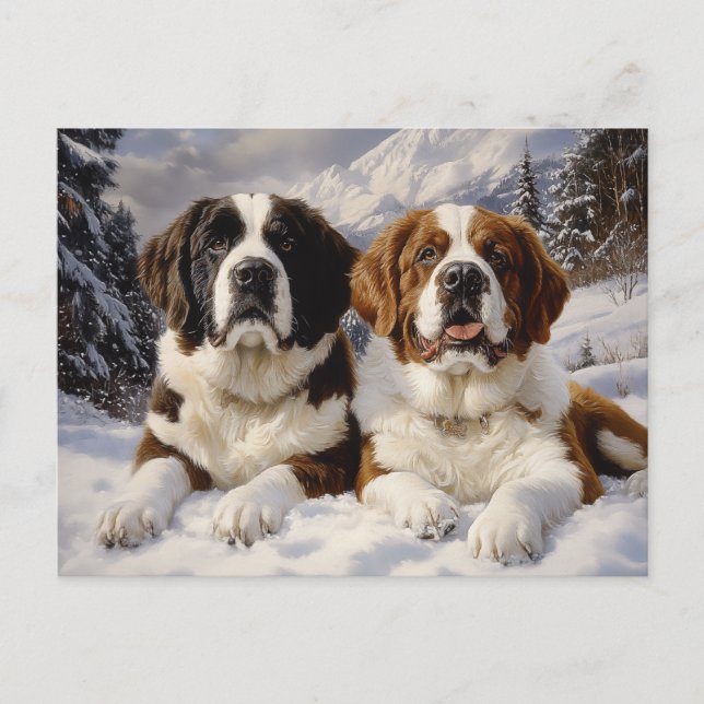 Zwei Heilige Bernards im Schnee Postkarte (Vorderseite)