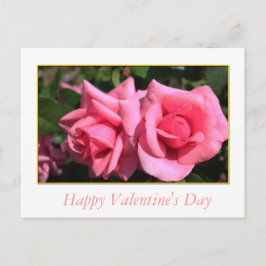 zwei hellrosa Rose Blume Valentinstag Feiertagspostkarte