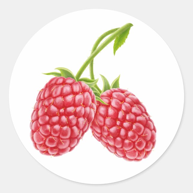 Zwei Himbeeren Runder Aufkleber (Vorderseite)