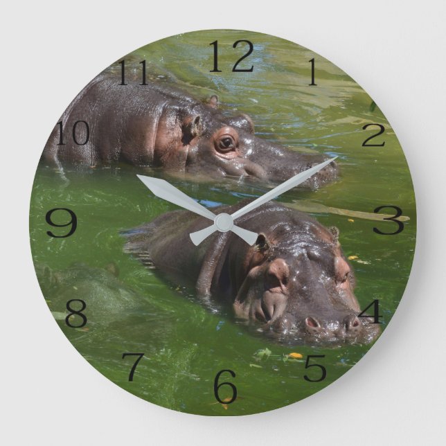 Zwei Hippos im Teich schwimmen, Wall-Uhr Große Wanduhr (Vorderseite)