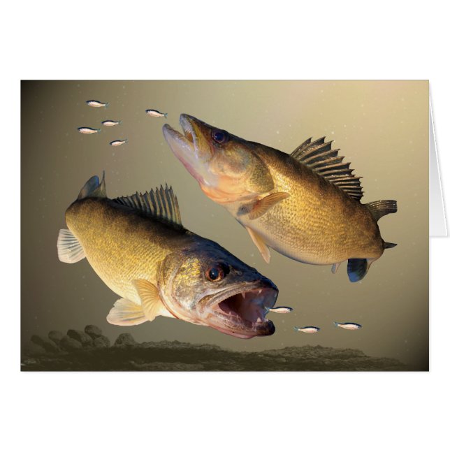 Zwei Hornhautfleck-Füttern (Vorderseite (Horizontal))