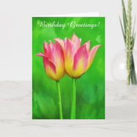Zwei hübsche Tulpen Zwei Geburtstagswünsche Blumen