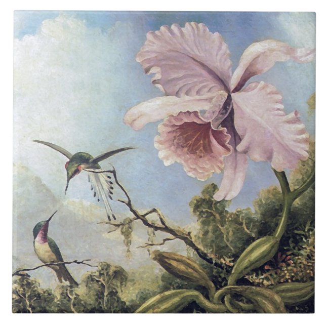 Zwei Hummingvögel und ein Orchid Fliese (Vorderseite)