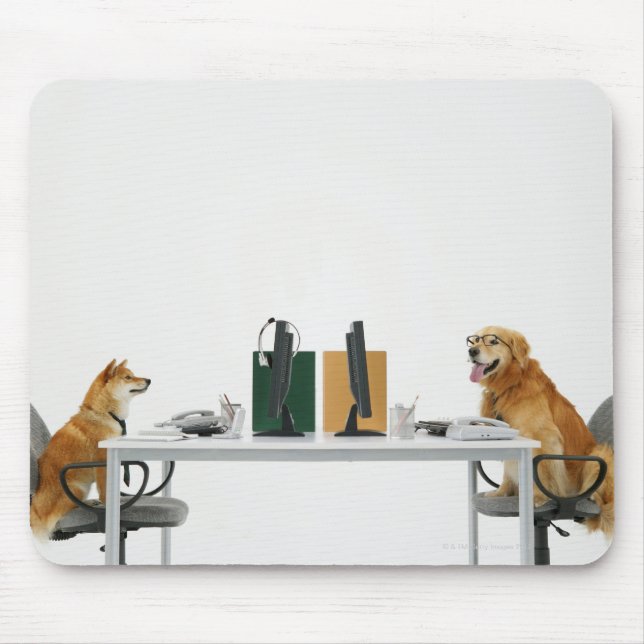 Zwei Hunde, die Krawatte und Brille tragen, sitzen Mousepad (Vorne)