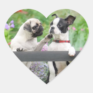 Zwei Hunde ein Mops Welpe und Boston Terrier zusam Herz-Aufkleber