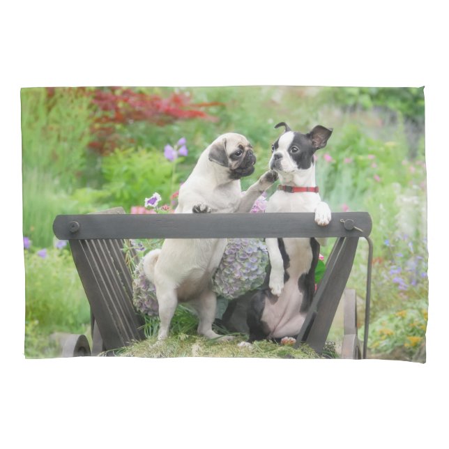 Zwei Hunde einen Mops Welpen und Boston Terrier in Kissenbezug (Vorderseite)