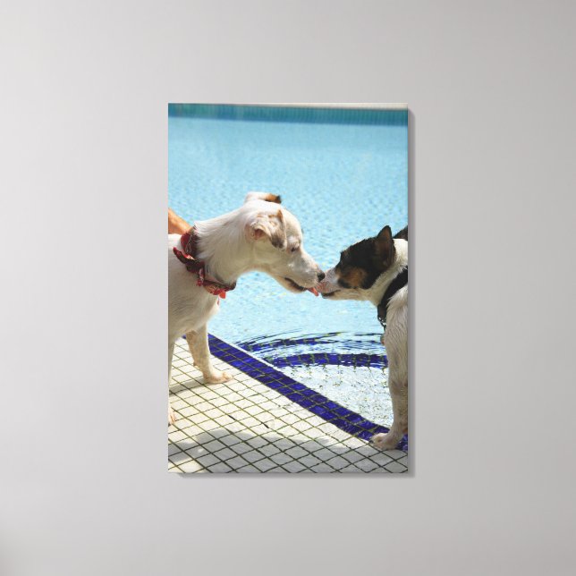 Zwei Hunde küssen am Pool Leinwanddruck (Vorderseite)