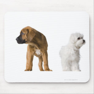 Zwei Hunde Mousepad