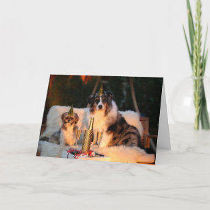 Zwei Hunde Neujahrskarte Feiertagskarte