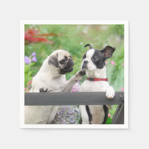 Zwei Hunde pro Mops Welpe und Boston Terrier zusam Serviette