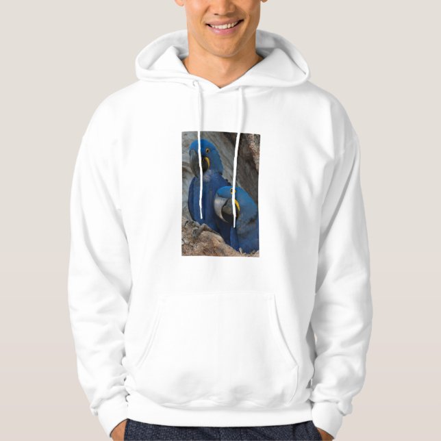 Zwei Hyacinth Macaws, Brasilien Hoodie (Vorderseite)