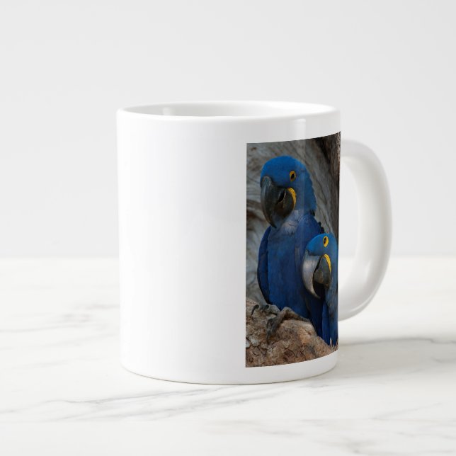 Zwei Hyacinth Macaws, Brasilien Jumbo-Tasse (Vorderseite Rechts)