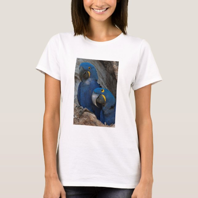 Zwei Hyacinth Macaws, Brasilien T-Shirt (Vorderseite)