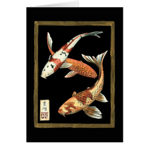 Zwei Japaner Koi Goldfisch auf schwarzem