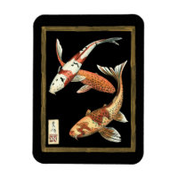 Zwei japanische Koi Goldfish auf schwarzem Hinterg