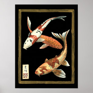 Zwei japanische Koi Goldfish auf schwarzem Hinterg Poster