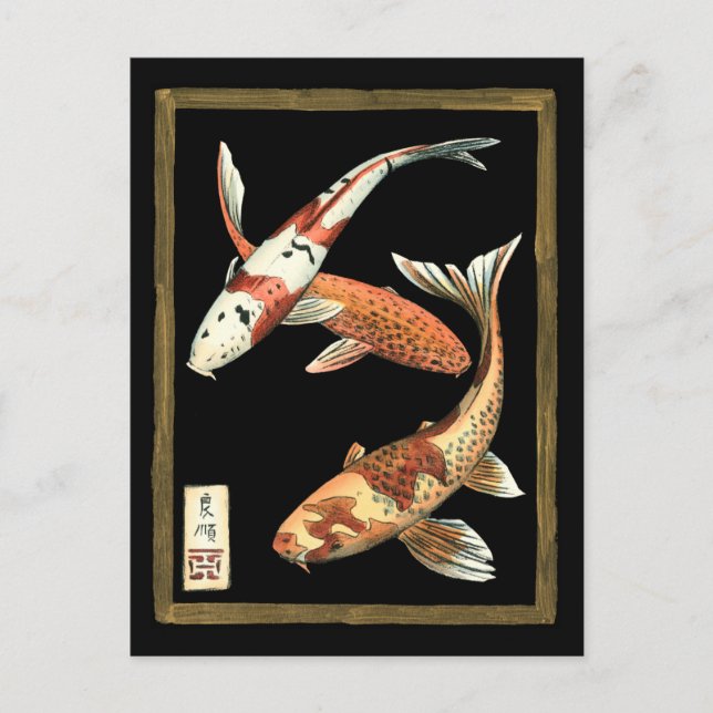 Zwei japanische Koi Goldfish auf schwarzem Hinterg Postkarte (Vorderseite)