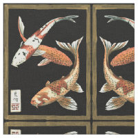 Zwei japanische Koi Goldfish auf schwarzem Hinterg