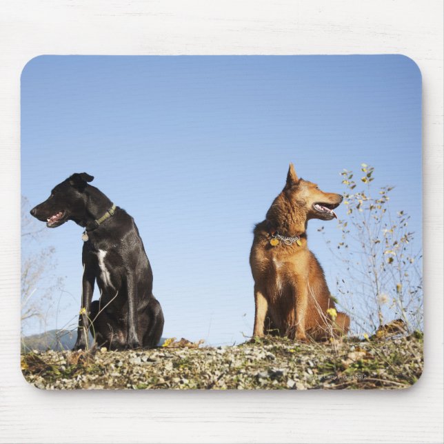 Zwei junge Hunde, die in die entgegengesetzte Rich Mousepad (Vorne)