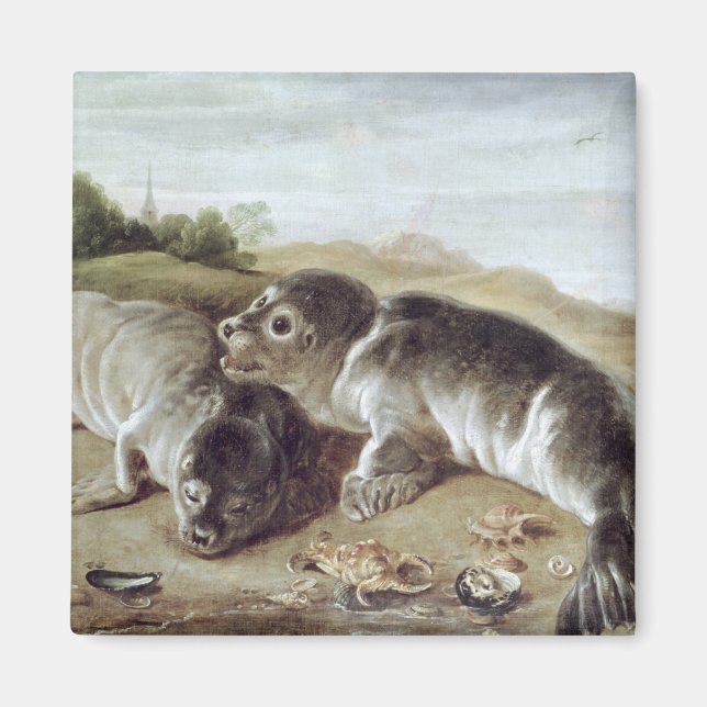 Zwei junge Siegel an der Küste, c.1650 Magnet (Vorne)