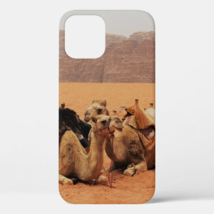 ZWEI KAMEL AUF BROWN SAND IN DER NÄHE VON MOUTAINS Case-Mate iPhone HÜLLE