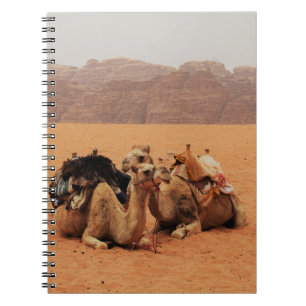 ZWEI KAMEL AUF BROWN SAND IN DER NÄHE VON MOUTAINS NOTIZBLOCK