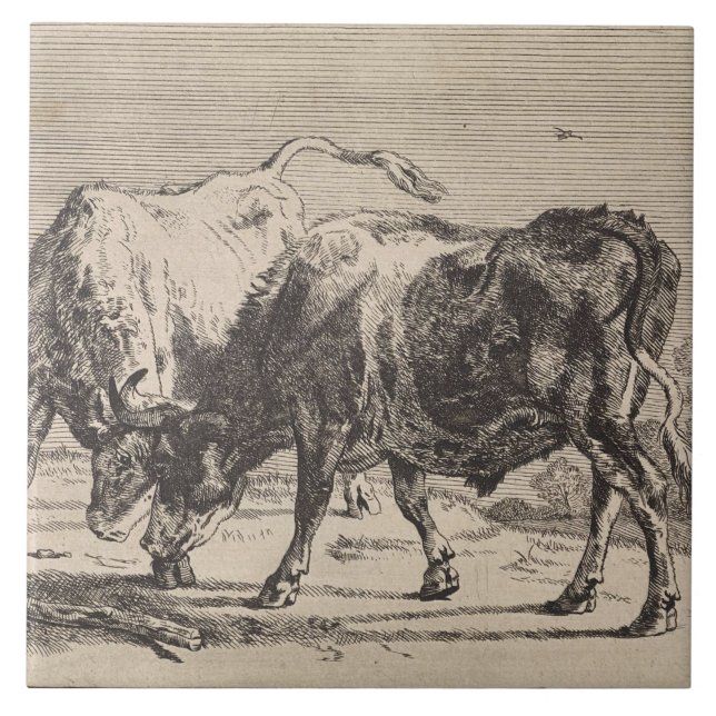 Zwei Kampfstiere (von Paulus Potter) Fliese (Vorderseite)