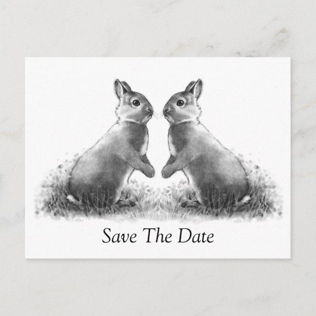 Zwei Kaninchen (Bunnies): Save the Date Ankündigungspostkarte (Vorderseite)