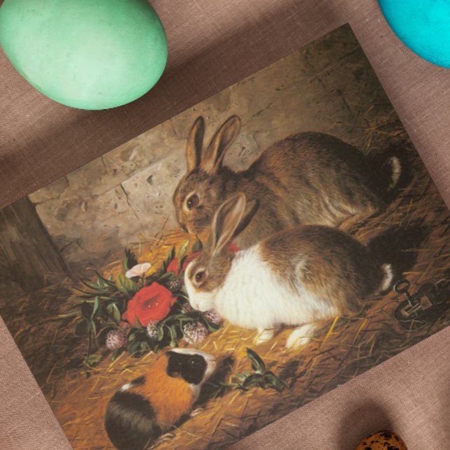Zwei Kaninchen und eine Guinea (Von Creator hochgeladen)