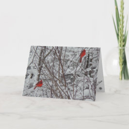 Zwei Kardinäle 12x18 Weihnachtskarte Feiertagskarte