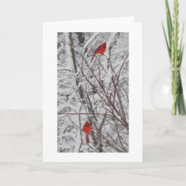 Zwei Kardinäle weiße Grenze 12x18 Weihnachtskarte Feiertagskarte