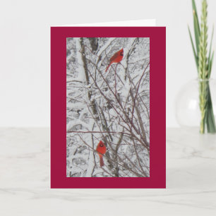 Zwei Kardinals-rote Grenz12x18 Weihnachtskarte Feiertagskarte
