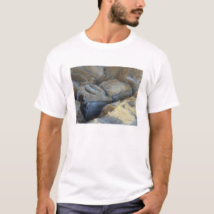 Zwei kastenähnliche Geräte verpackt T-Shirt