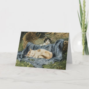 Zwei Kätzchen   Julius Adam the Younger Karte