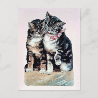 zwei Kätzchen Katzen niedliche Liebe bezaubernd li Postkarte