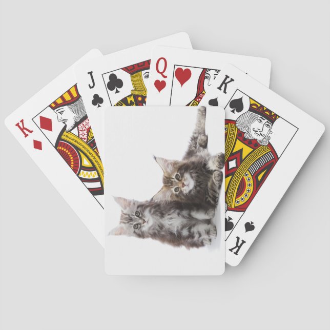 Zwei Kätzchen Maine-Münzkatze Spielkarten (Rückseite)