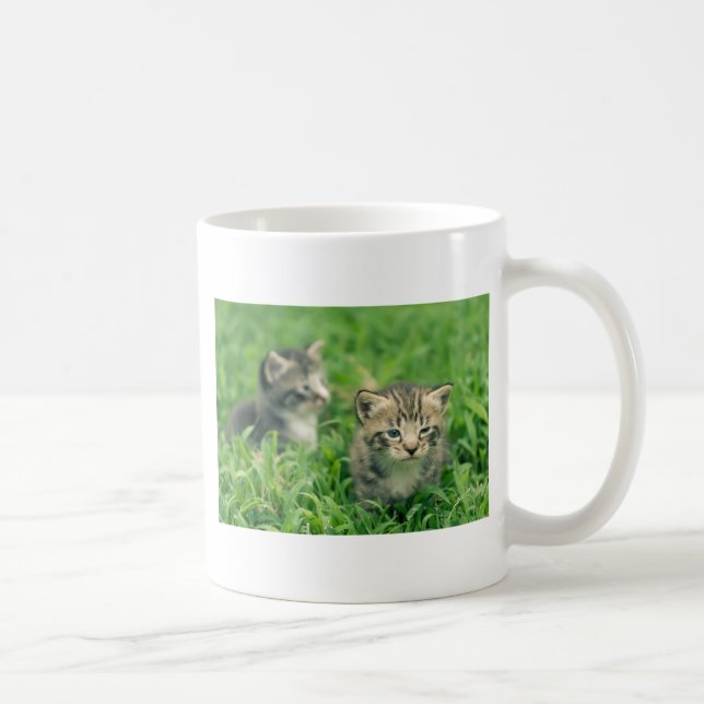 Zwei Kätzchen spielen im Gras Tasse (Rechts)