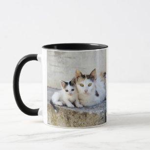 Zwei Katzen auf Steinschritten Tasse