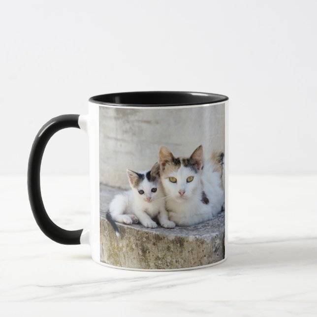 Zwei Katzen auf Steinschritten Tasse (Links)