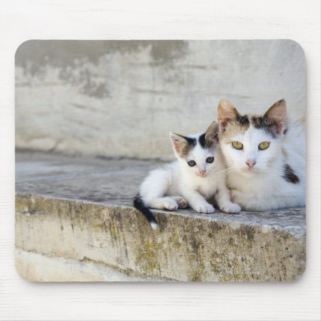 Zwei Katzen auf Steintreppen Mousepad (Vorne)