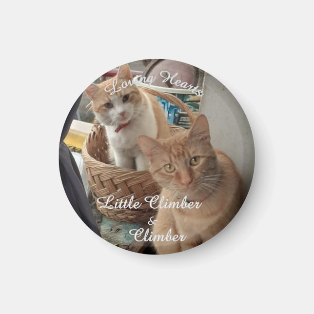 zwei Katzen , austauschbares Foto und Namen, Magnet (Vorne)