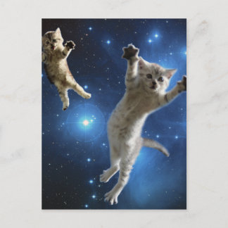 Zwei Katzen im Weltraum schwebend um die Galaxie Postkarte