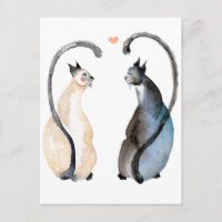 Zwei Katzen in Liebe