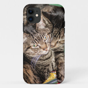 Zwei Katzen schnipsen iPhone 11 Hülle