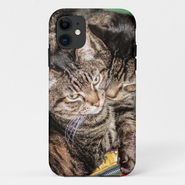 Zwei Katzen schnipsen Case-Mate iPhone Hülle (Rückseite)