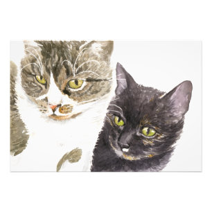 Zwei Katzen - Tabby und Tortie Fotodruck