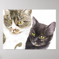 Zwei Katzen - Tabby und Tortie