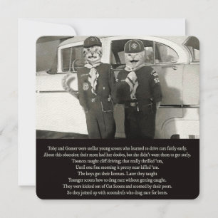 Zwei Katzenrutschen fahren den Weg hinunter zum Pe Mitteilungskarte