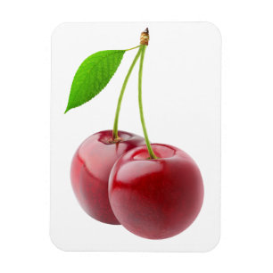 Zwei Kirschen Magnet