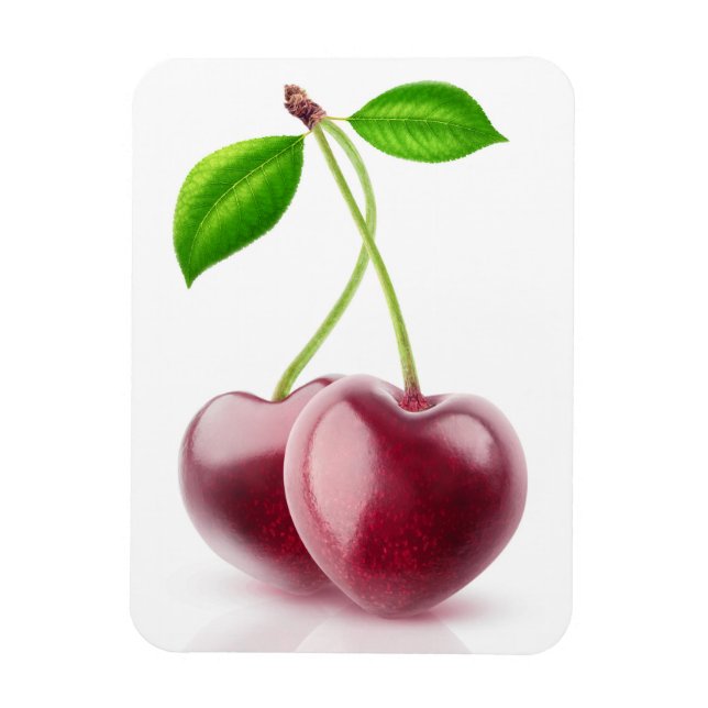 Zwei Kirschherzen Magnet (Vertikal)